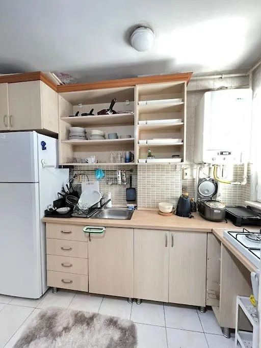 公寓 Spacious 2Br Near Taksim 伊斯坦布尔
